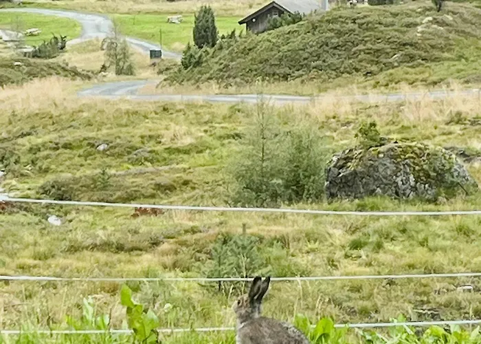 Modern With Panoramic Views In